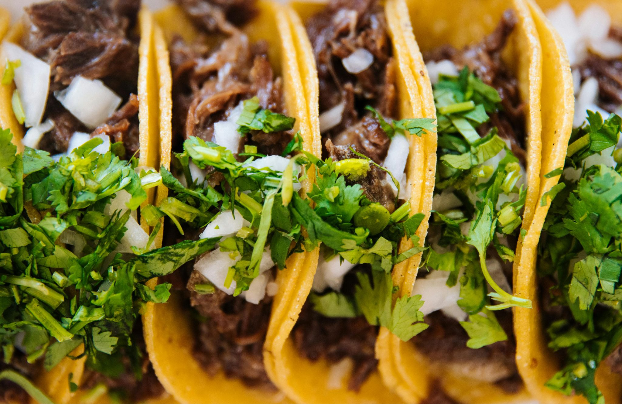 Tacos filled with meat, chopped onion and green herbs.