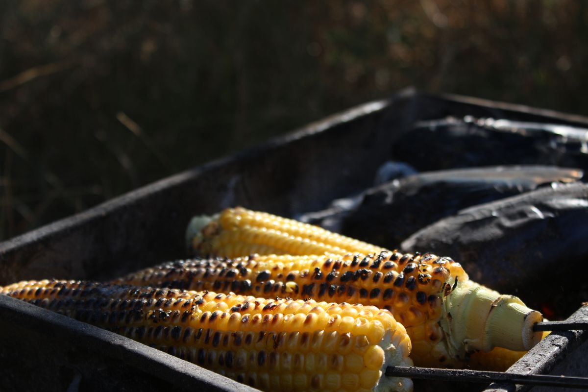 Charred corn cobs resting on a black grill beside cooking tongs.