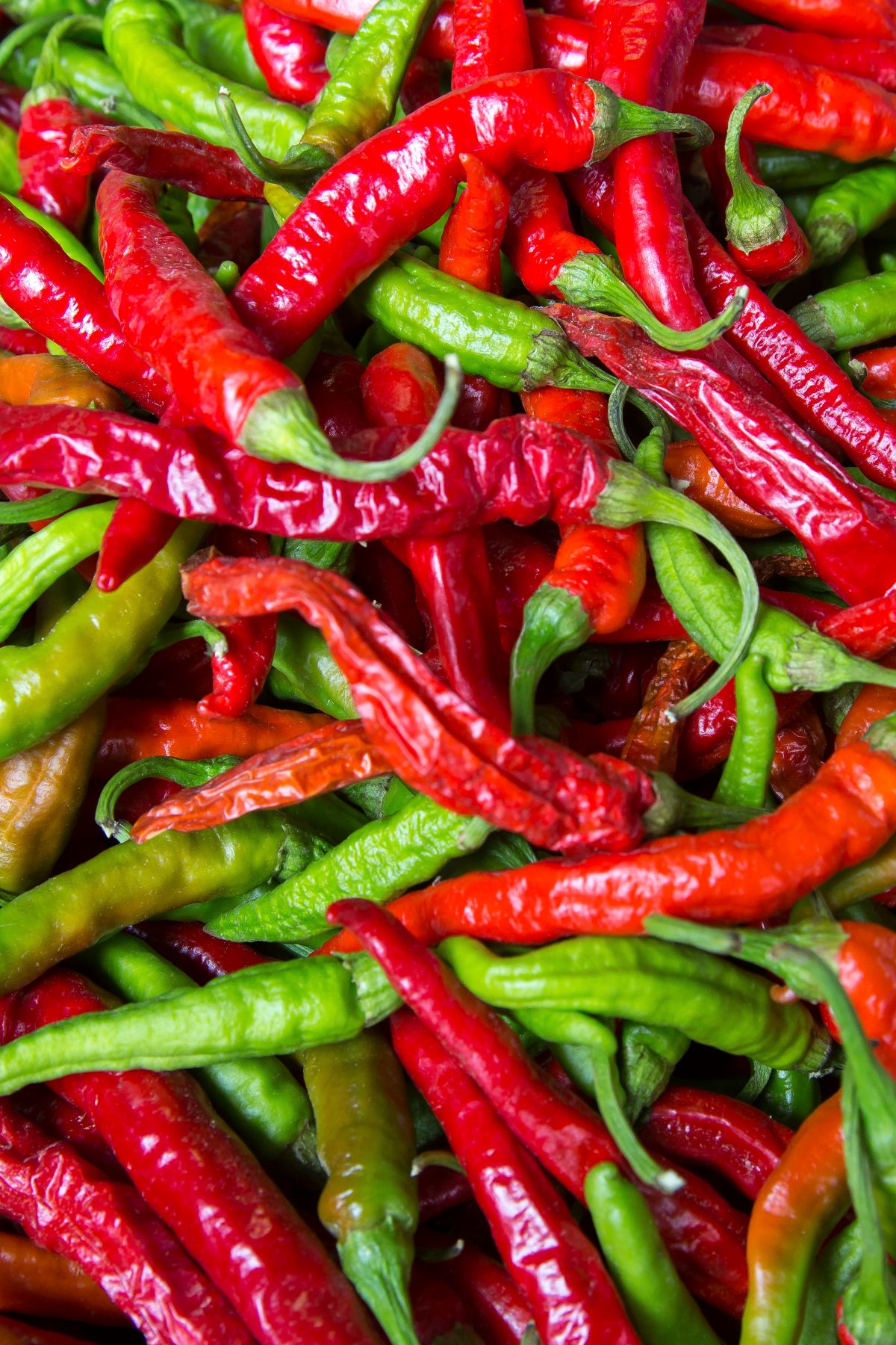 A close-up pile of red and green chili peppers with their stems attached.