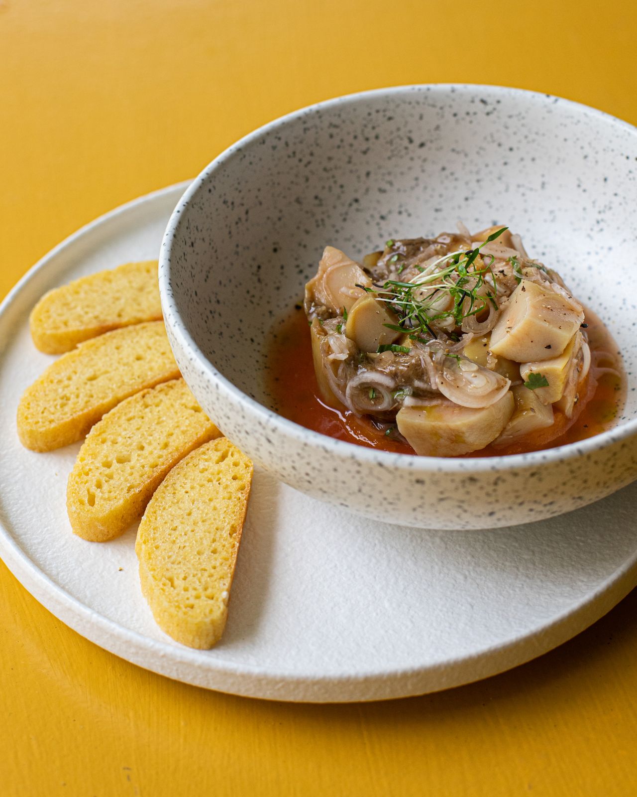 Yellow bread slices beside a bowl of stew on a white plate.