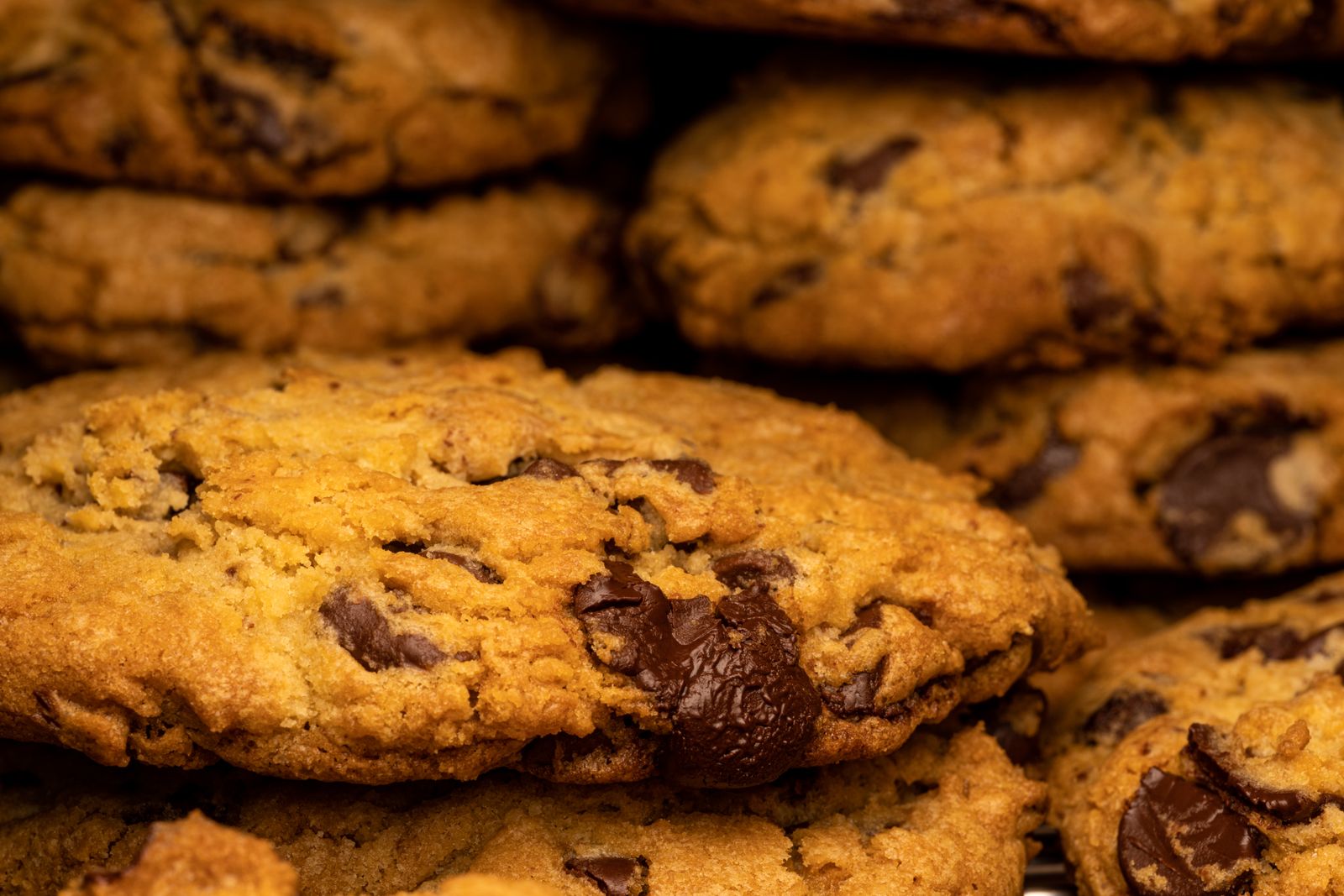 Chocolate-chip cookies overlap in a close-up view.