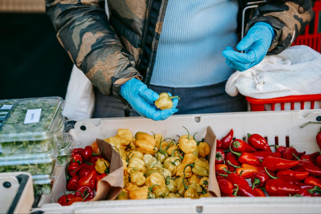 Blue-gloved hands holding a yellow pepper above market produce.