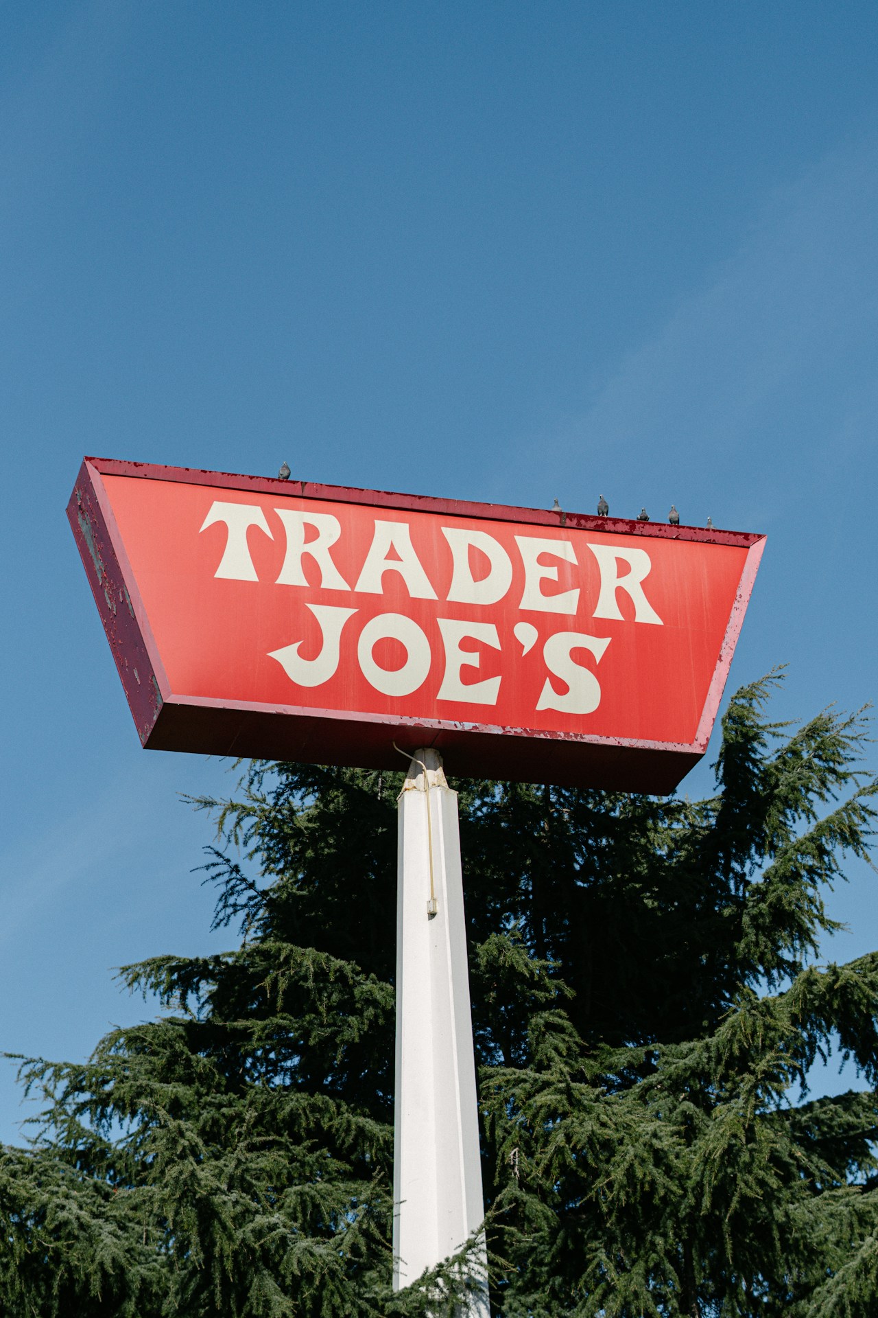 A red Trader Joe’s sign stands on a white post against blue sky and trees.
