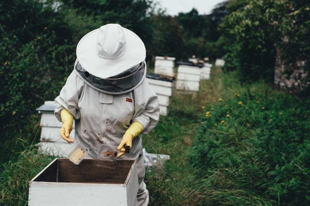 A beekeeper in a protective suit beside hives.