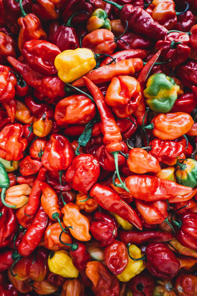 A basket filled with red, orange and green peppers.